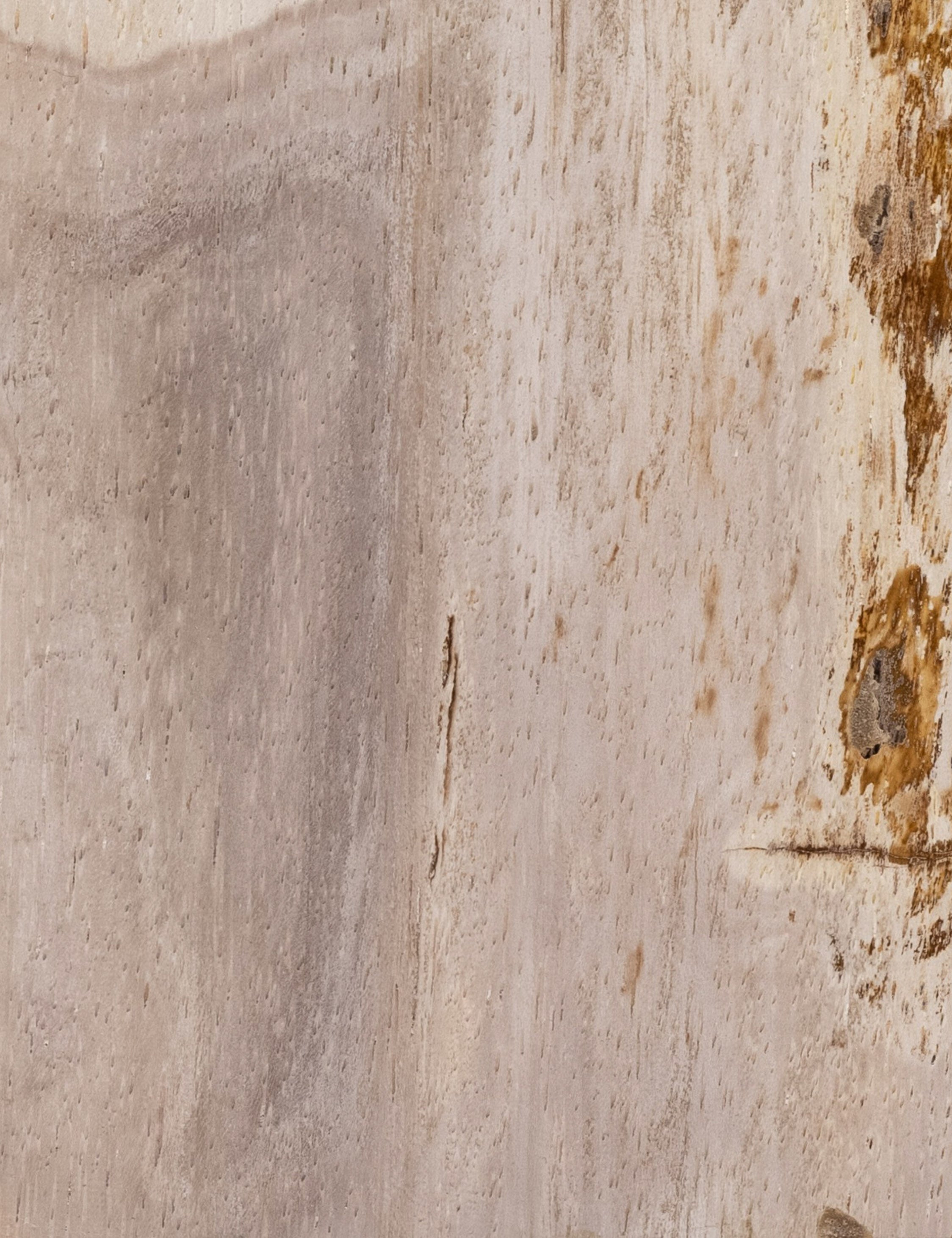 Courtland Round Side Table