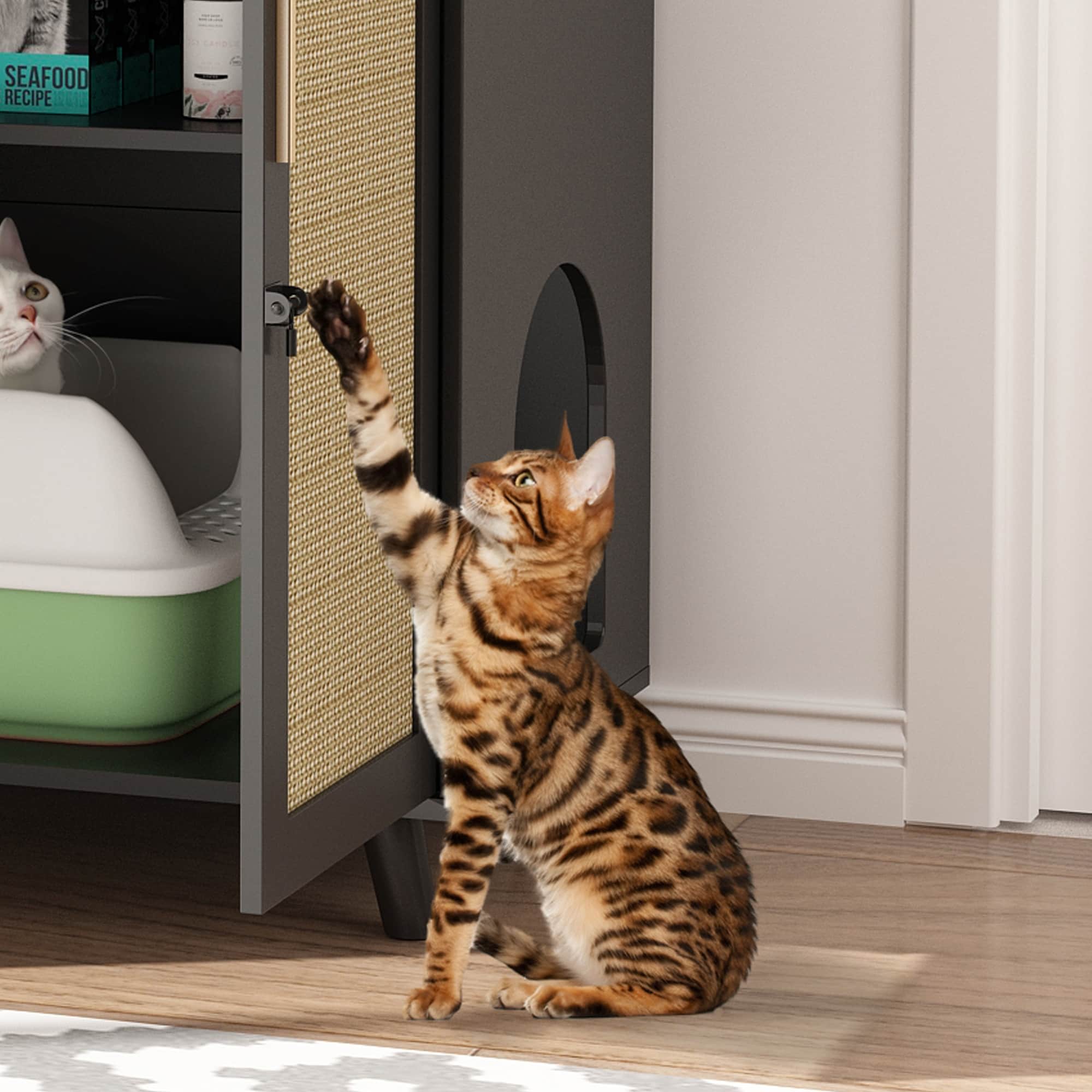 Cat Litter Box Enclosure Cat House Side Table Door Cabinet Bookcase