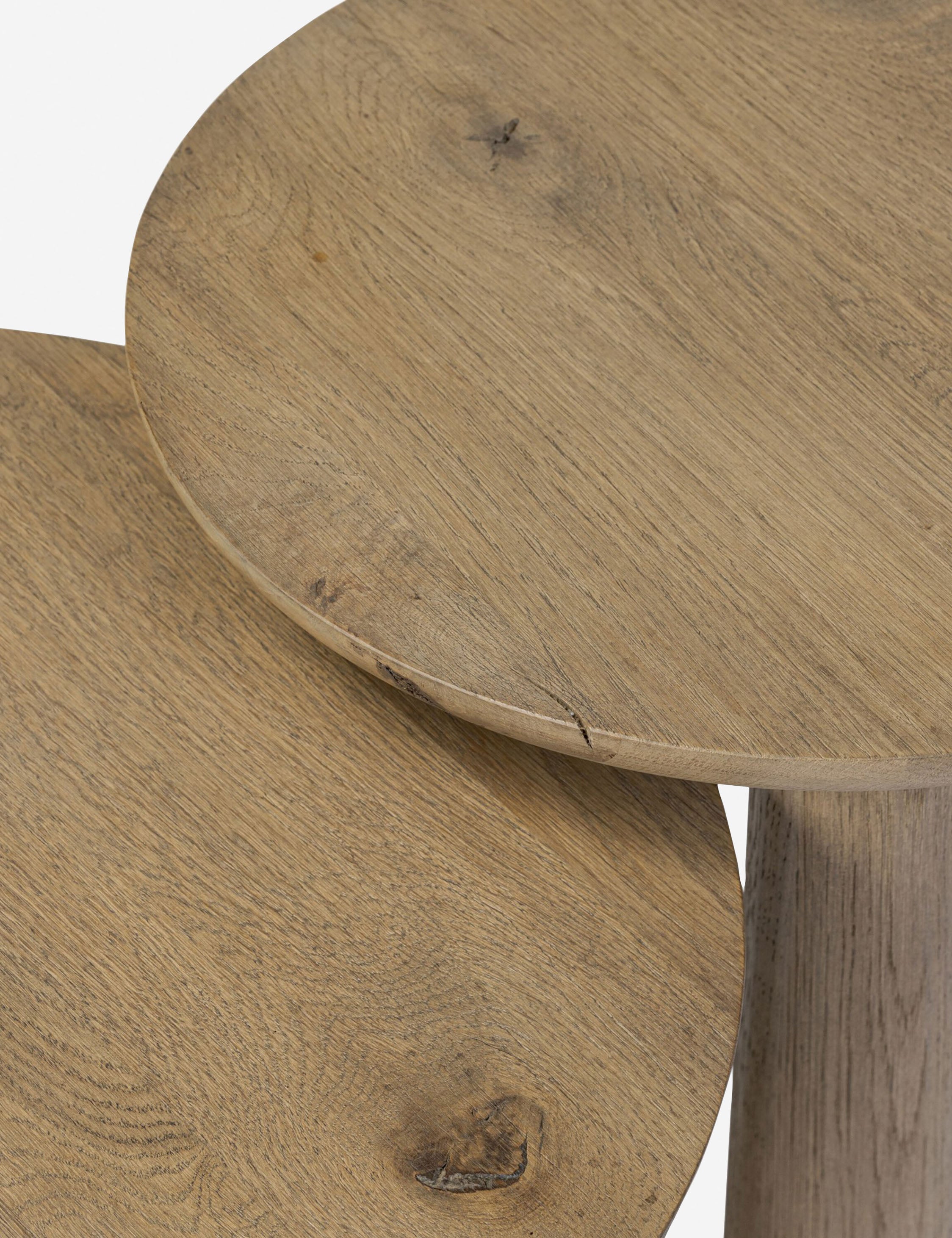 Venturi Nesting Side Tables (Set of 2)