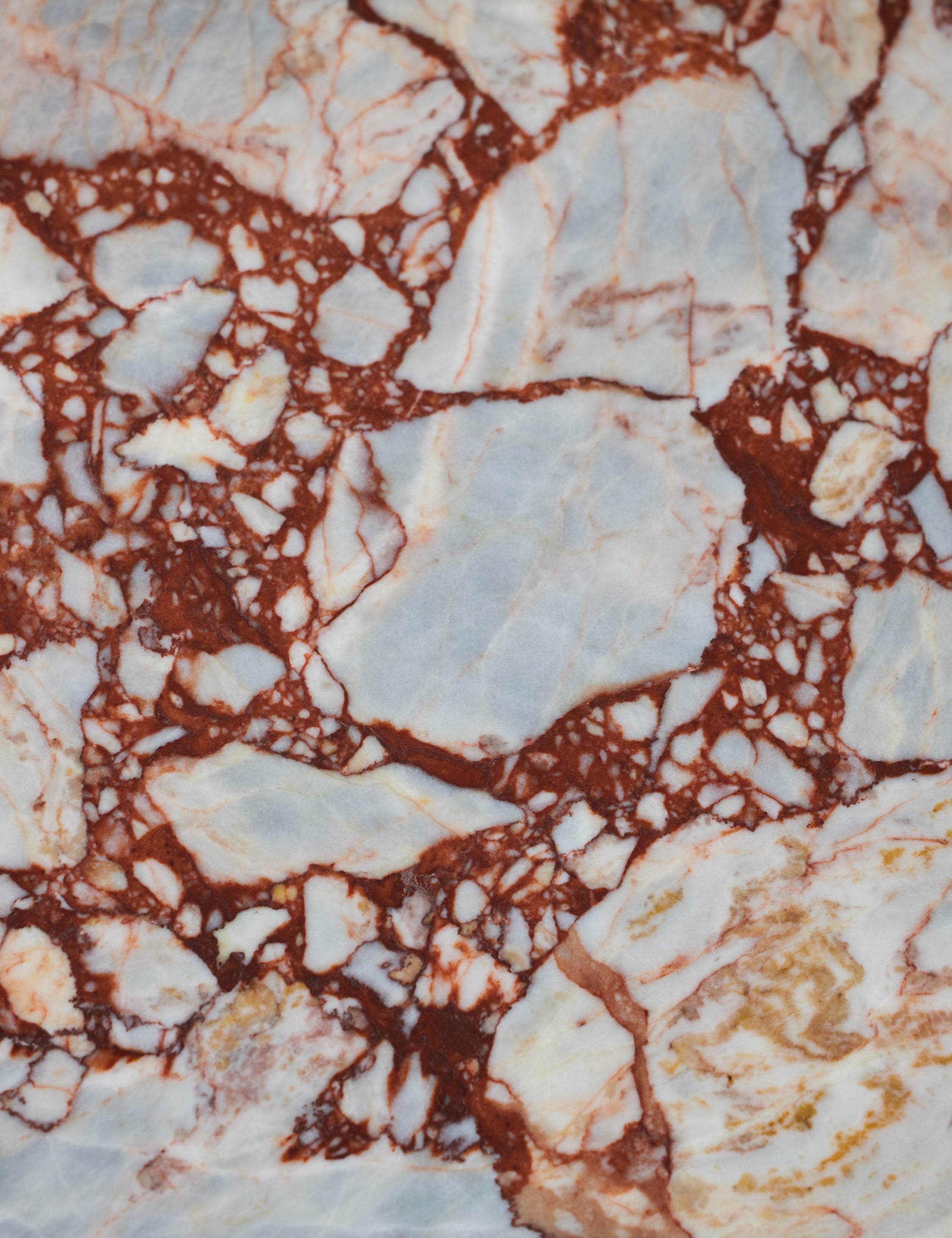 Rodolfo Marble Coffee Table