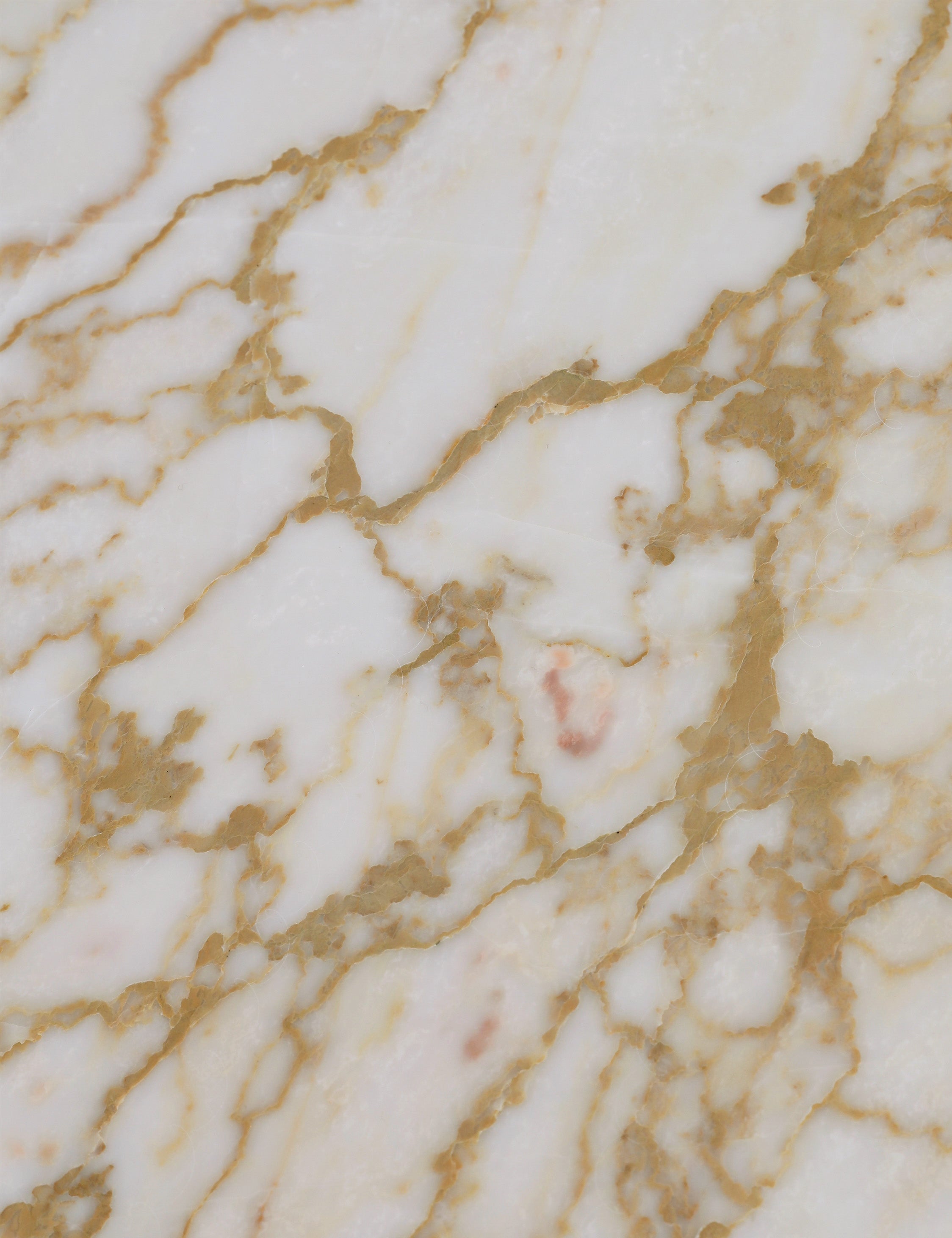 Mahoe Oval Coffee Table by Carly Cushnie