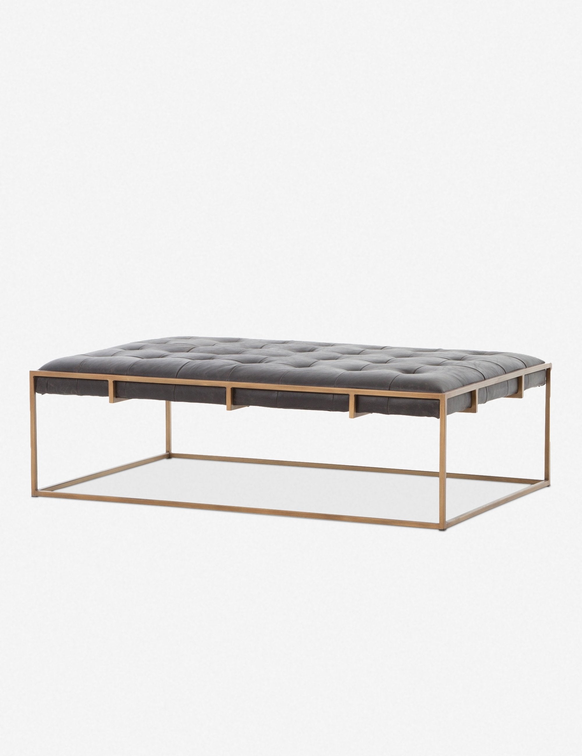 Olwina Leather Coffee Table