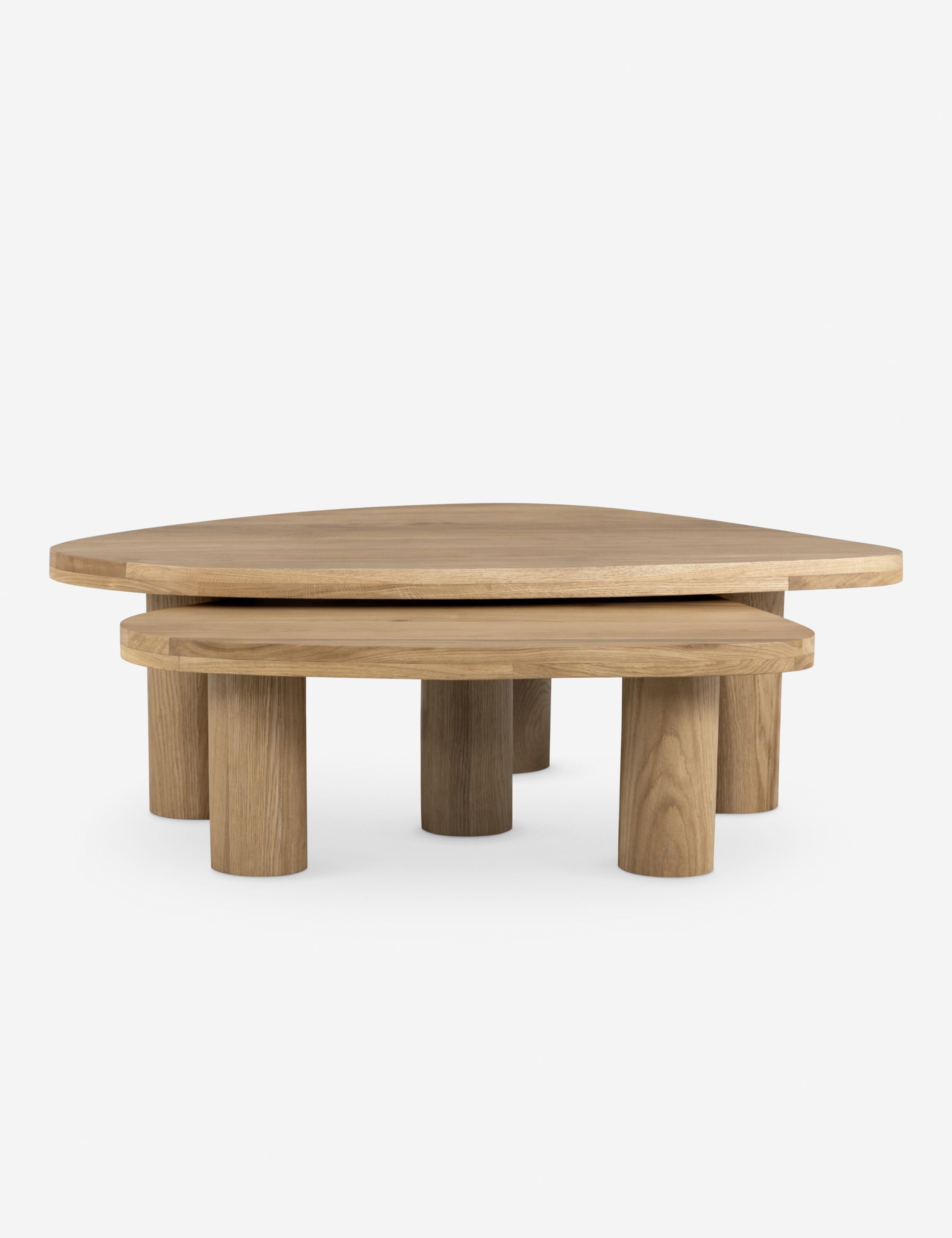 Mariano Nesting Coffee Table (Set of 2)