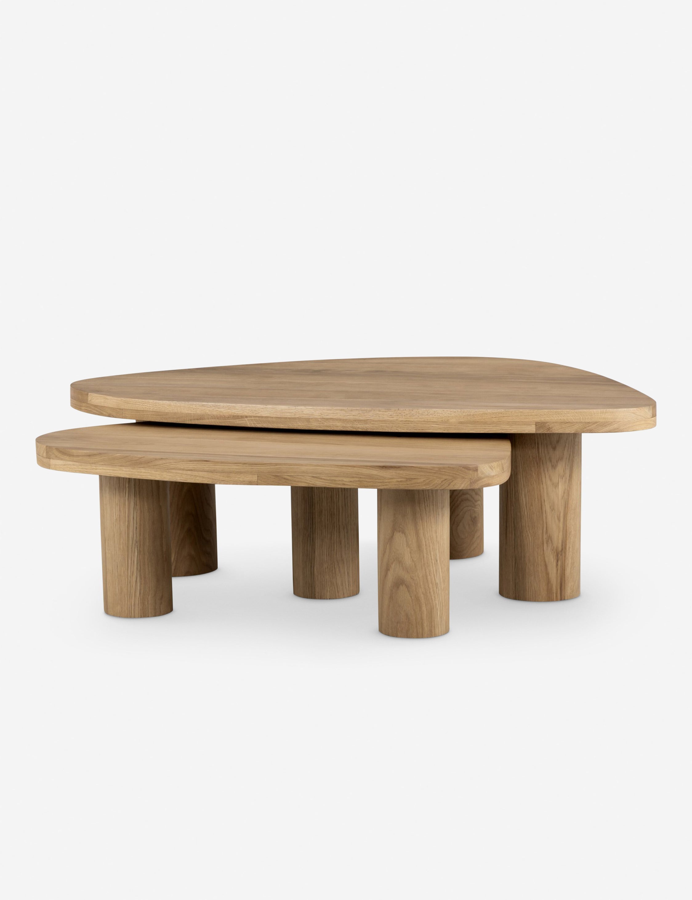 Mariano Nesting Coffee Table (Set of 2)