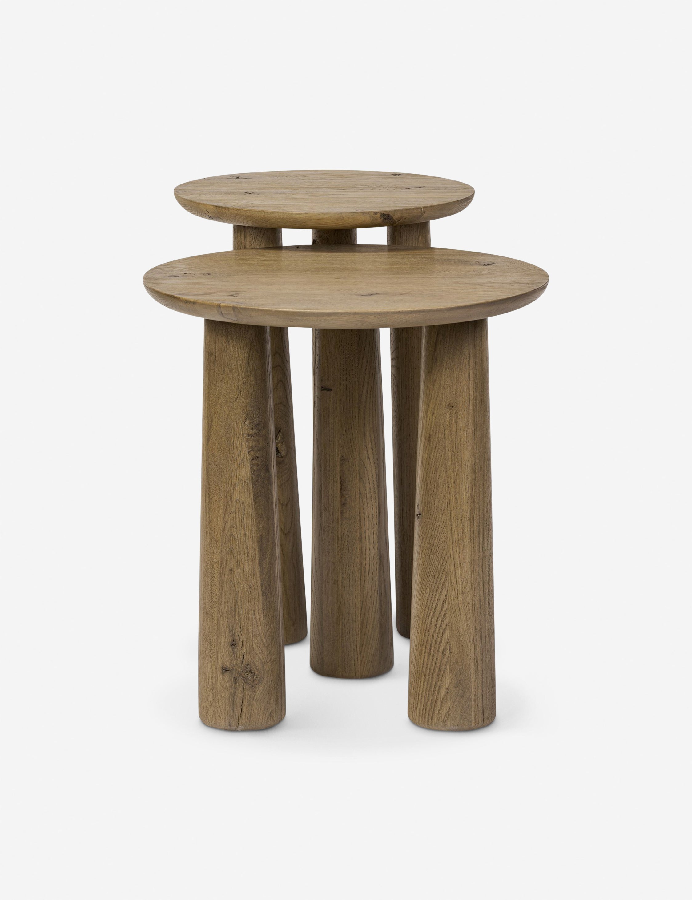 Venturi Nesting Side Tables (Set of 2)